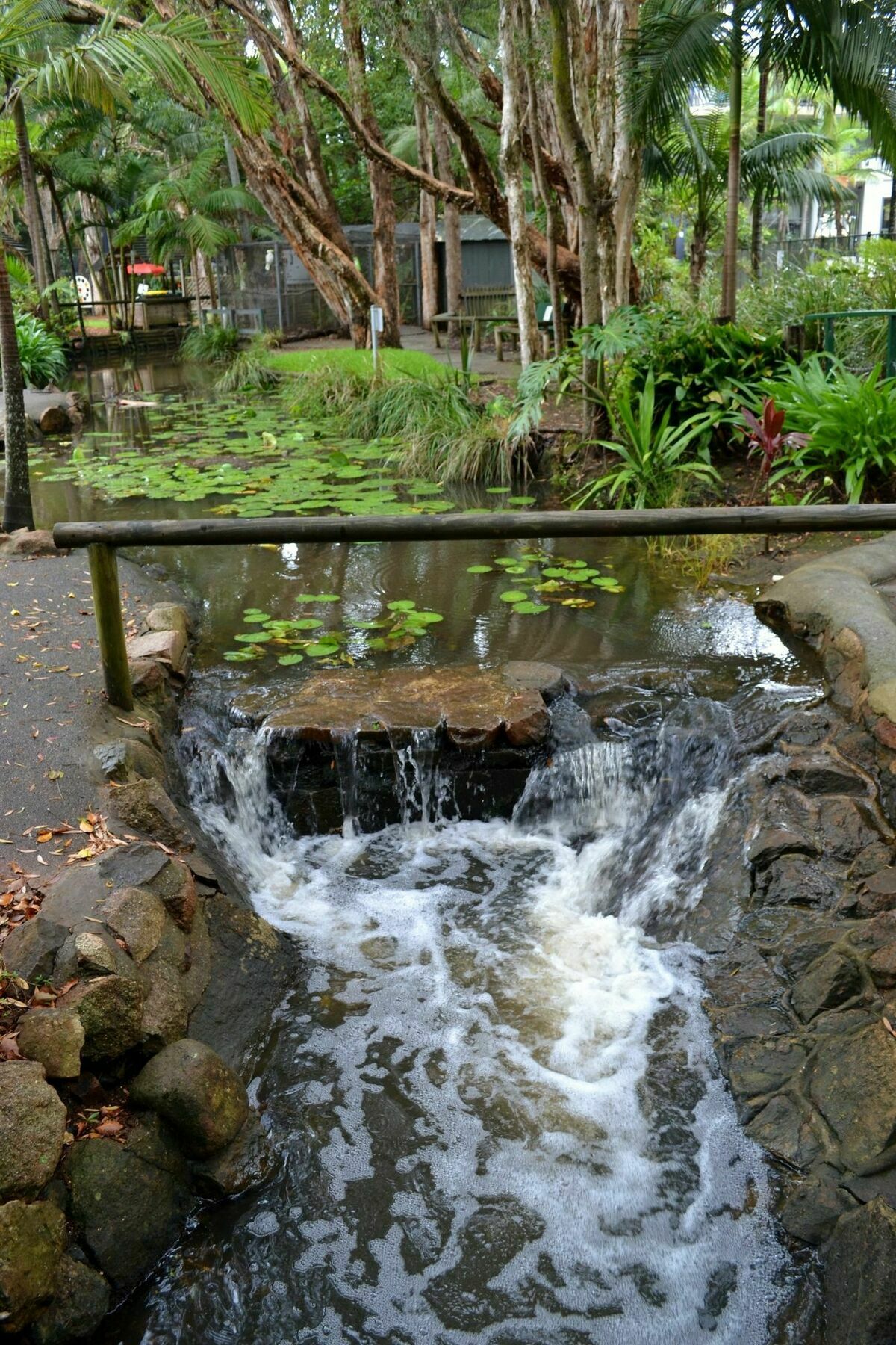 Flynns Beach Resort Port Macquarie Kültér fotó